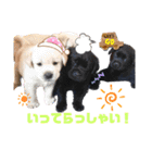 ラブラドールパピー ベニーっ子7（個別スタンプ：16）