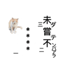 漢文 反語や再読文字（個別スタンプ：13）