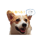 こっこまちゃん第2弾（個別スタンプ：6）