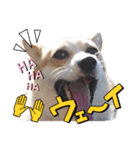 こっこまちゃん第2弾（個別スタンプ：18）