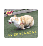 こっこまちゃん第2弾（個別スタンプ：21）