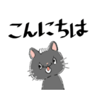 かわいい猫のLINEスタンプ（個別スタンプ：1）