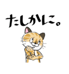 かわいい猫のLINEスタンプ（個別スタンプ：10）