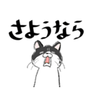 かわいい猫のLINEスタンプ（個別スタンプ：12）