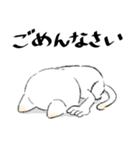 かわいい猫のLINEスタンプ（個別スタンプ：13）