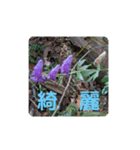 Monkshood（個別スタンプ：5）