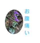 Monkshood（個別スタンプ：8）