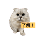 ミャウの日常～2（個別スタンプ：15）