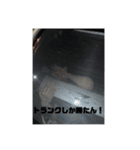 ゆなのありなし日記（個別スタンプ：8）