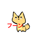 犬犬犬犬だよー（個別スタンプ：2）