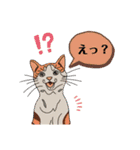 毎日使いやすい☆いろんな猫達の日常トーク（個別スタンプ：5）