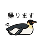 ペンギン18種の日常で使えるスタンプ（個別スタンプ：2）