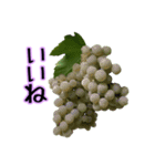 秋の実りの葡萄狩り（個別スタンプ：16）