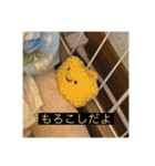 パピヨンのさちです。（個別スタンプ：40）