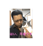 ブリティッシュショートヘア「ぽてと」（個別スタンプ：24）