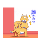 犬 -ワンコ- アンバー（個別スタンプ：20）