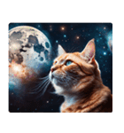 宇宙の中の猫3（個別スタンプ：1）