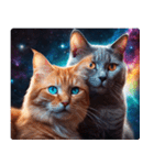 宇宙の中の猫3（個別スタンプ：27）