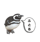 ペンギンの日常(水族館)①（個別スタンプ：14）