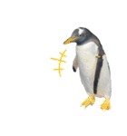 ペンギンの日常(水族館)①（個別スタンプ：34）