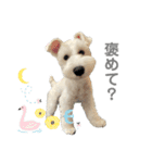 白くまのクゥ2（個別スタンプ：6）