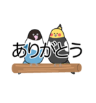 オカメとボタン（個別スタンプ：7）