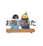 オカメとボタン（個別スタンプ：28）