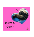 山ニャンずの日常敬語（個別スタンプ：2）