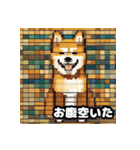 柴犬ぶさかわドット1（個別スタンプ：4）