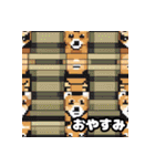 柴犬ぶさかわドット1（個別スタンプ：10）