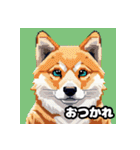 柴犬ぶさかわドット1（個別スタンプ：11）