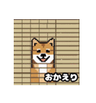 柴犬ぶさかわドット1（個別スタンプ：18）