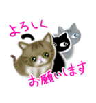 猫ちゃんオールスターズ1周年記念スタンプ（個別スタンプ：15）