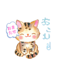 野良猫つしま丸（個別スタンプ：26）