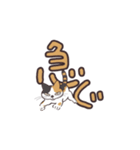 三毛猫がジャマする デカ文字スタンプ（個別スタンプ：29）