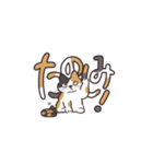 三毛猫がジャマする デカ文字スタンプ（個別スタンプ：38）