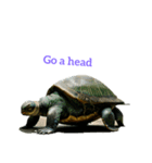 カメ turtle（個別スタンプ：12）