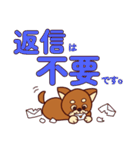 わんこと大きな文字（個別スタンプ：5）