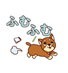 わんこと大きな文字（個別スタンプ：11）