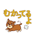 わんこと大きな文字（個別スタンプ：16）