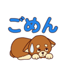 わんこと大きな文字（個別スタンプ：20）