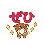 わんこと大きな文字（個別スタンプ：27）