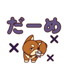 わんこと大きな文字（個別スタンプ：37）