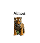 トラ tiger（個別スタンプ：1）