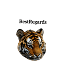 トラ tiger（個別スタンプ：3）