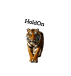 トラ tiger（個別スタンプ：18）