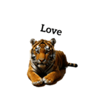 トラ tiger（個別スタンプ：20）