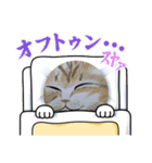 おおさかねこちゃん9（個別スタンプ：10）