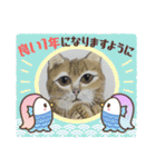 おおさかねこちゃん9（個別スタンプ：13）