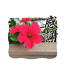 スタンプシリーズa（個別スタンプ：3）